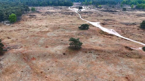 Scenic Aerial of Trees and Rural Landscape