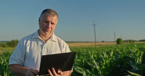 Farmer Using Laptop in a Sunny Cornfield
