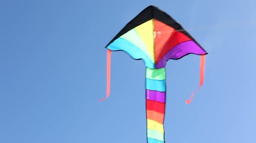 Des cerfs-volants colorés dansent dans un ciel bleu venteux au-dessus de la plage pendant les vacances d'été
