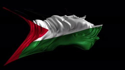 Realistic Waving Palestinian Flag Animation