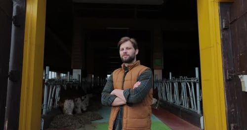 Smiling Farmer in Barn Doorway with Cows