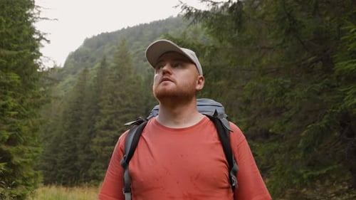 Male Hiker Standing in Forest Looking Up