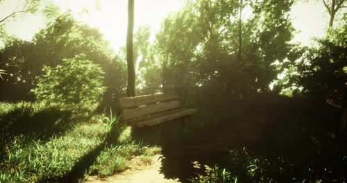 Serene Wooden Bench in a Sunlit Forest Clearing Surrounded By Greenery
