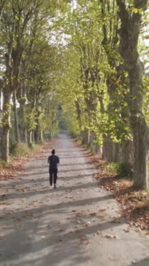 Autumn Park Sport Running