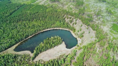 Aerial Over a Little Lake with Crystal Clear Water Surrounded with Evergreen Pine Forest on a Bright