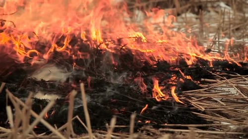 Stack of Dry Grass on Fire
