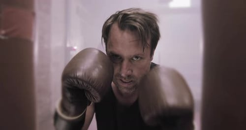 Intense Boxer Training in a Boxing Gym