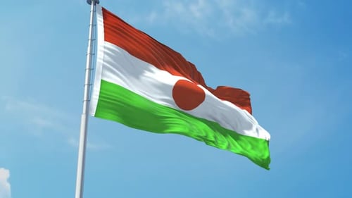 Niger Realistic Flag