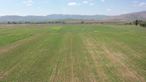 Aerial View Of Farmland And Hills