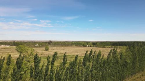 The process of urbanization on a green plain surrounded by tree alleys on a sunny day with a blue sk