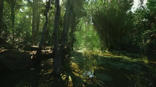 Lush Tropical Jungle River with Sun Rays Animation