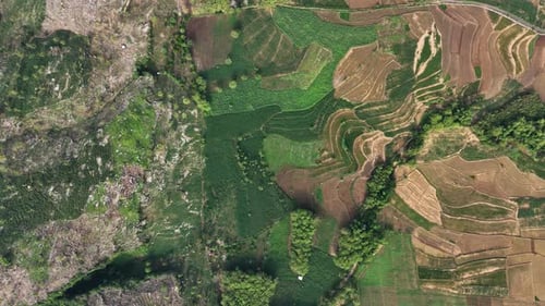 Aerial view from top of green natural field