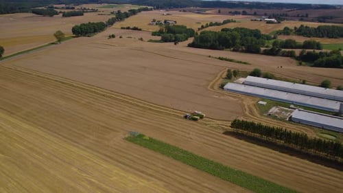 Aerial flyover combine harvester and tractor during work process on wheat field
