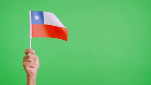Hand Holding a Flag on Green Screen