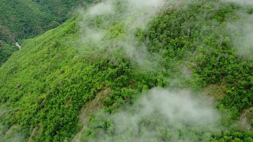 Top Down Aerial View of Summer Forest Fly Over Clouds Beautiful Natural Background