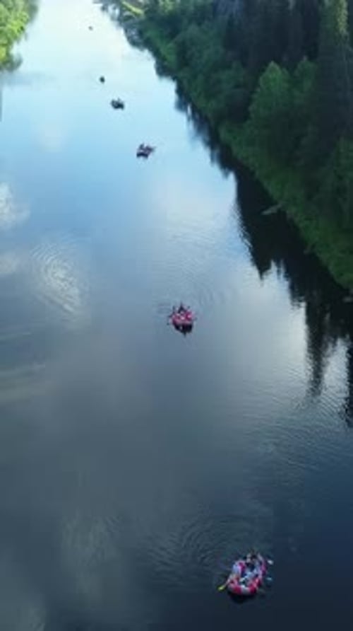 Um rio sereno flui graciosamente por uma bela paisagem florestal verdejante Stock Clip