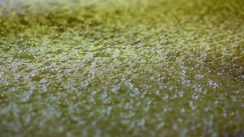 Purê de milho borbulhando e fermentando para uso na produção de uísque Bourbon.