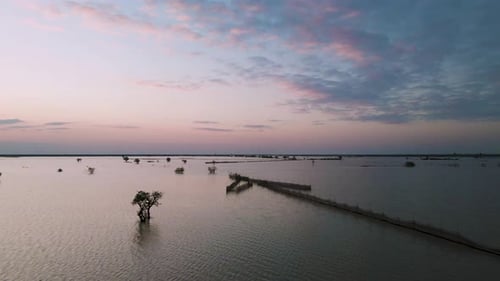 Sunset over the Tonle Sap flood planes as the floodwater recedes revealing isolated lonely trees and