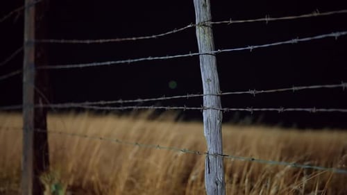 Rustic Barbed Wire Fence Post in Golden Grass Field at Night