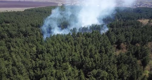 Wildfire rising smoke. Natural disaster, drone view.
