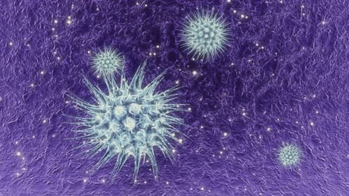 Viruses under microscope.Human immune system virus moving across screen.