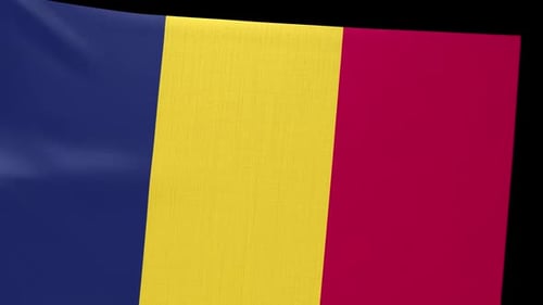 Tricolor Vertical Stripe Flag Waving Animation