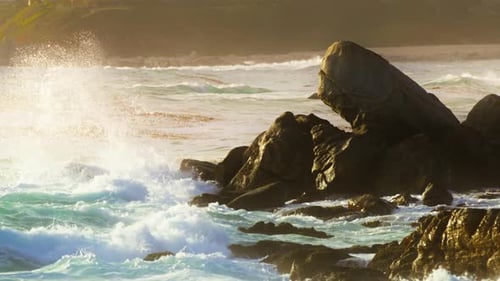 Crashing Waves in Open Pacific Ocean Foamy White Texture in Golden Sunset Light