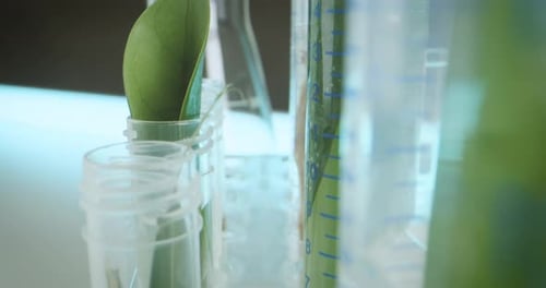 Cosmetic laboratory for creating natural organic bio beauty products from herbal ingredients, test t