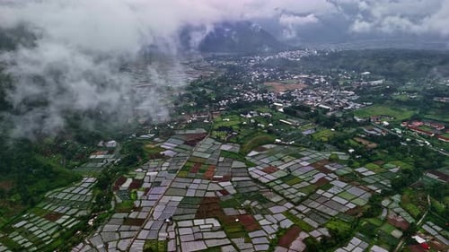 Colorful rice paddies and rural village below mountain in Bukit Selong, Indonesia