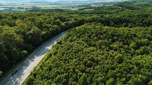 Driving through green forests. A car travels along a winding road surrounded by dense greenery