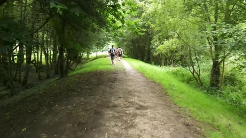 Group of people wearing backpacks hiking in the forest talking and enjoying nature. Pilgrims hiking