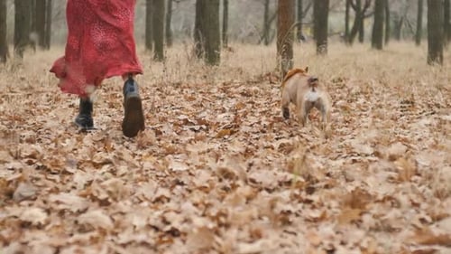 Young Beautiful Woman Runs with Her Dog in the Forest or Park