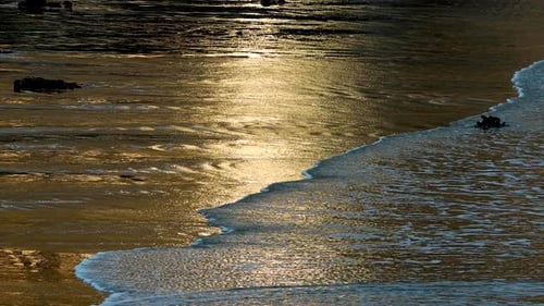 Sun set on the Beach