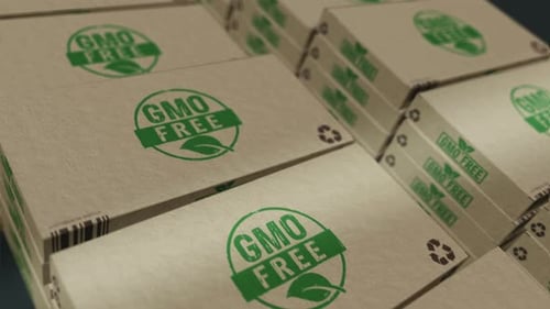 GMO Free Organic Product Cardboard Boxes Stack Background