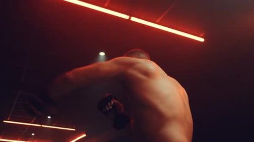 Fight Training