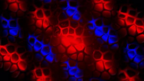 Abstract Glowing Red and Blue Bioluminescent Cells Loop