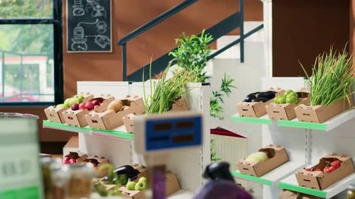 Fresh Fruits and Vegetables in Crates