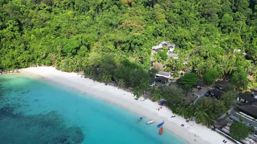 Healthy reef clear water, Tropical island. Unbelievable aerial view flight drone