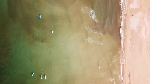 SUP surfers paddling along a Mediterranean coast