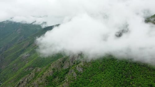 Nature Clouds Mountains Summer Forest Morning Fog Trees Aerial Beautiful Landscape Go Everywhere