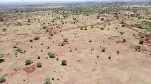 Africa Village-Aerial view-Drone view of African desert of Loitokitok with the green trees and shrub