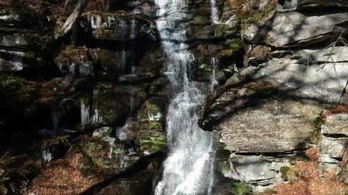 Scenic Waterfall with Icicles in a Winter Forest
