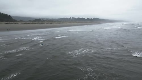 Aerial perspective of a surfer and dog on a board off the West Coast of Oregon, showcasing a distinc