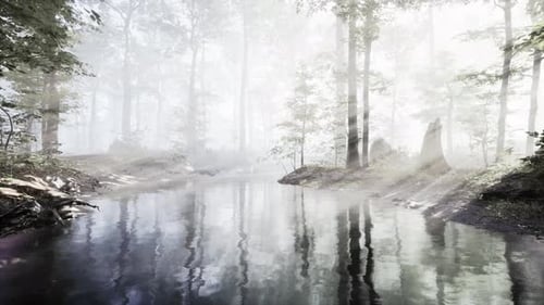 Pond in a Forest with Fog
