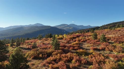 Drone sobrevoa as cores das montanhas de outono