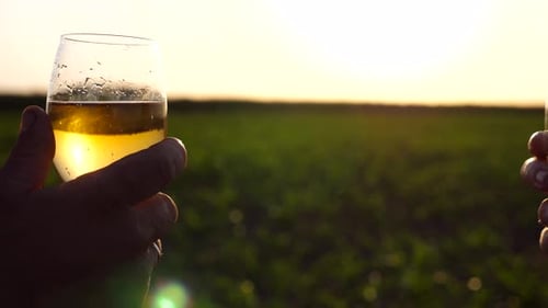Couple Toasting with Wine at Golden Hour Sunset