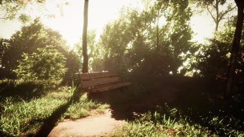 Wood Bench Near a Road