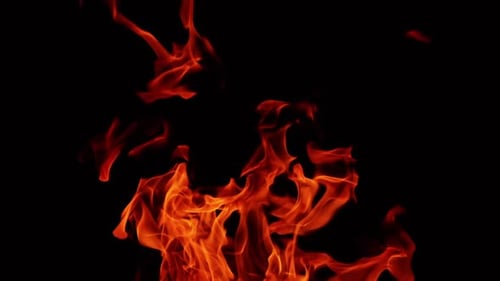 Red blaze upper part view. Campfire burning isolated in the darkness. Close up.