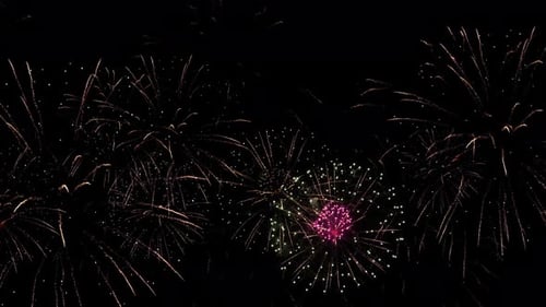 Vibrant Celebratory Fireworks on Black Background