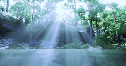 Sunlight Filters Through Trees Over a Serene Forest Lake Landscape